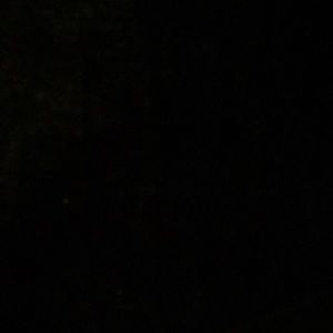 Meet your Posher, Anabel